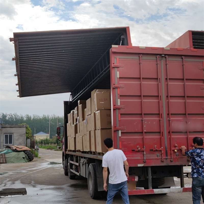 南丰镇扎囊县：物流专线的高效货运之旅