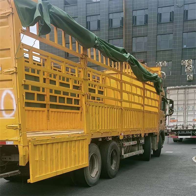 南丰镇兰州市物流运输：多元服务与高效线路探秘
